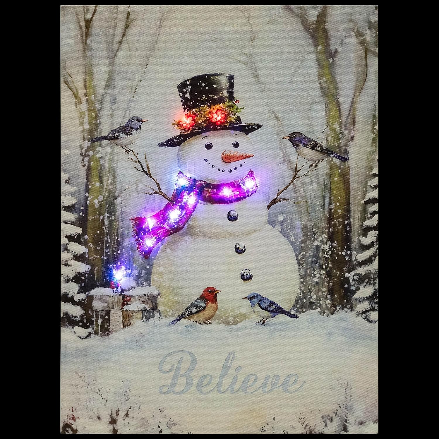 LED Lighted Snowman and Bird Friends Christmas Canvas Wall Art 15.75" x 11.75"