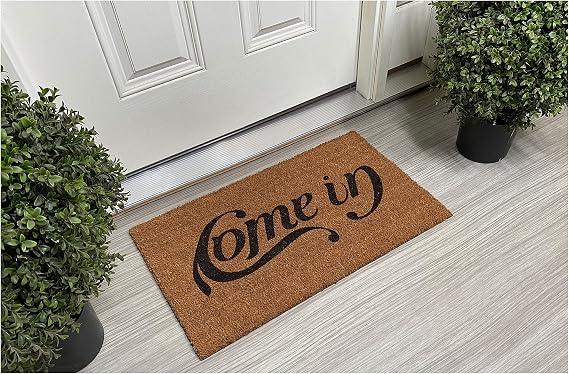 Calloway Mills 107901729 Come in Go Away Floor Mat Doormat 17'' x 29''