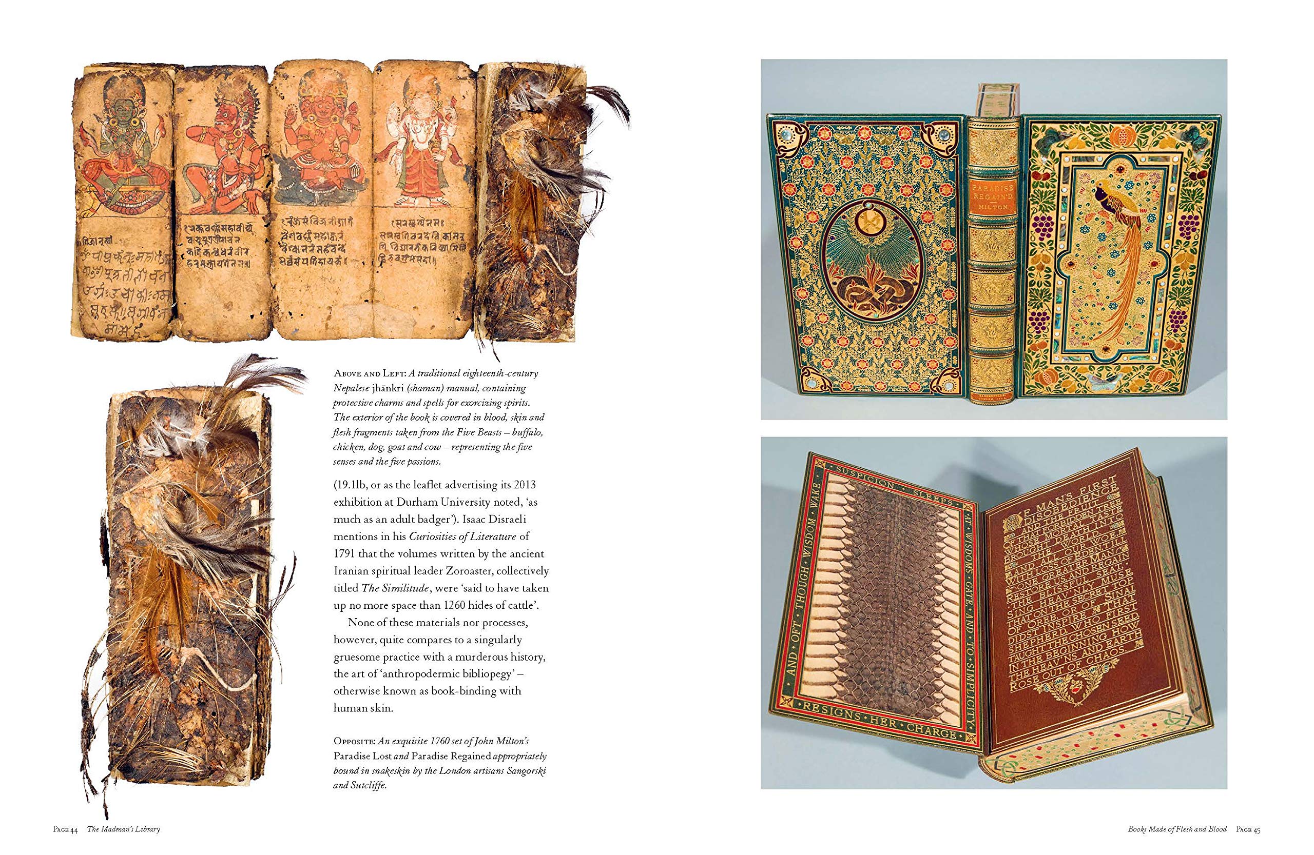 The Madman's Library: The Strangest Books, Manuscripts and Other Literary Curiosities from History - Image 6