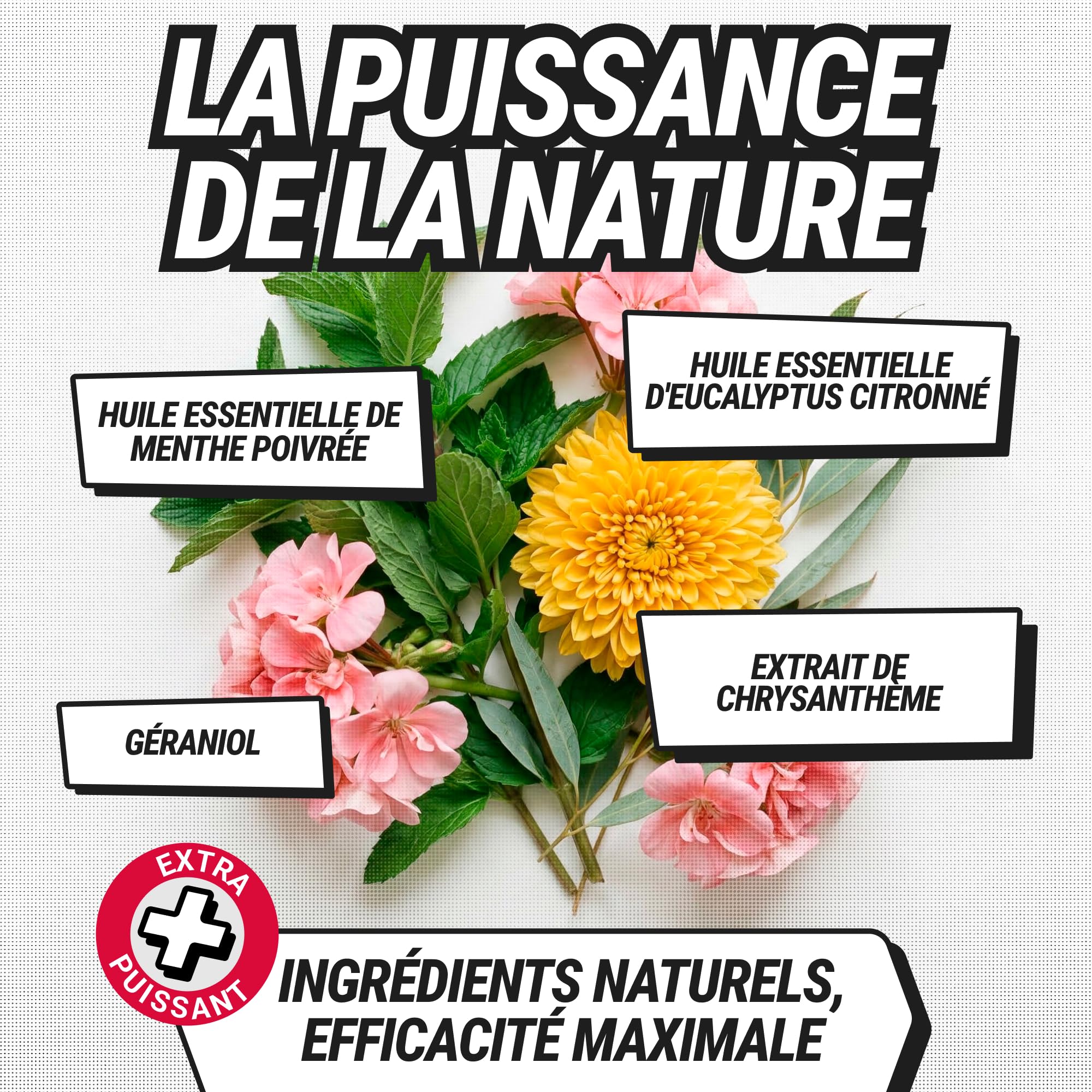 RepellShield® Spray Anti Tique Humain -500ml- Protection Cutanée & Textile - Non Tachant - Usage Intérieur & Extérieur - Solution Multi-Usage Anti Tiques avec Extrait de Chrysanthème