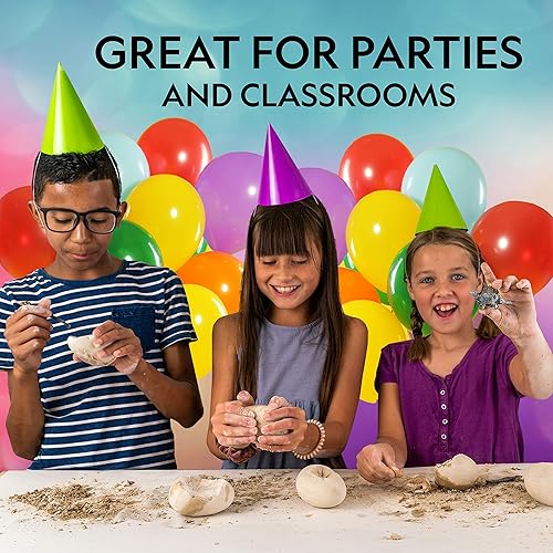 Miniatura 3 de NATIONAL GEOGRAPHIC - Kit de excavación de dinosaurios  12 ladrillos de excavación en forma de dinosaurio con figuras de dinosaurio en el interior y