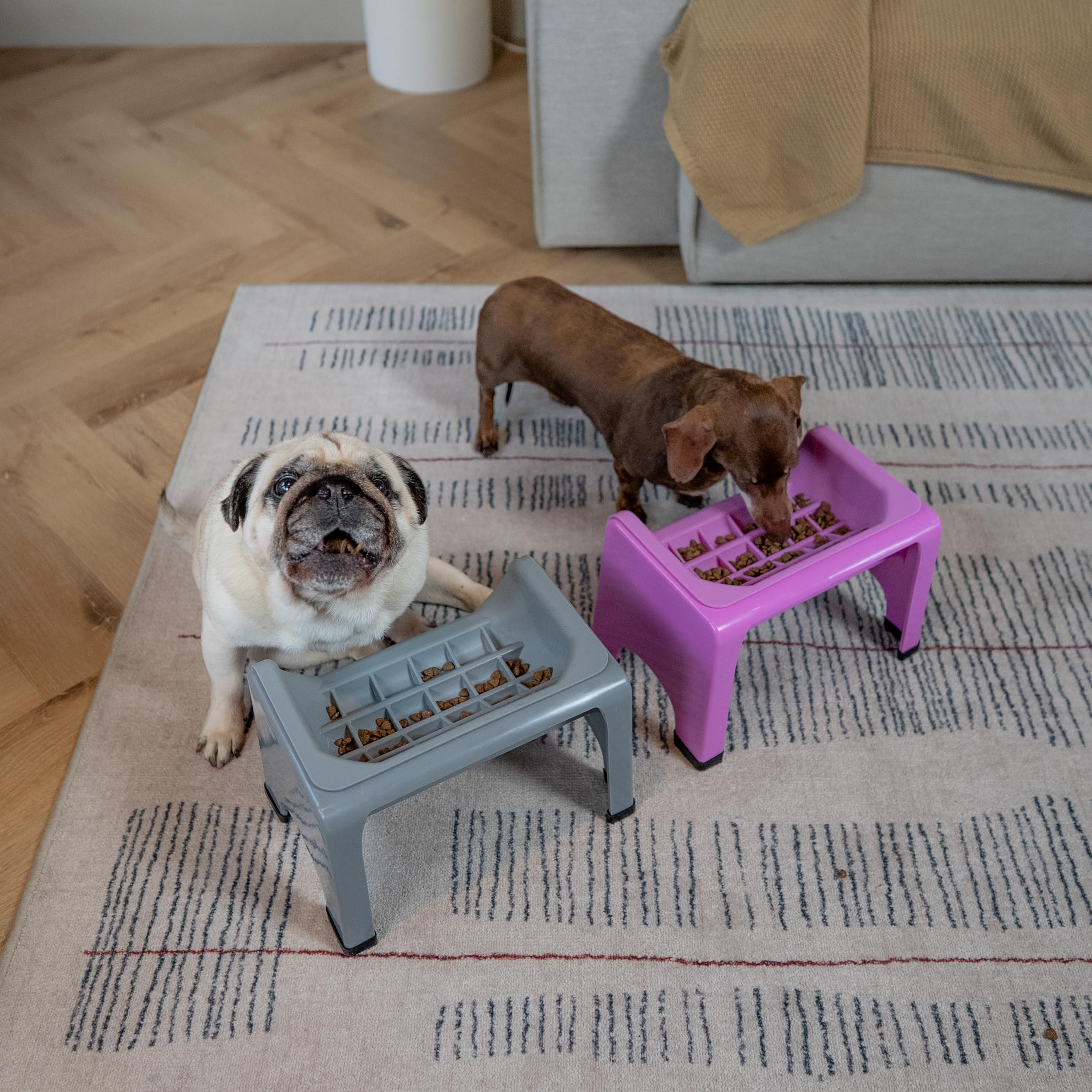 Amazon.com: Fluff Trough Elevated Slow Feeder Dog Bowls | Puzzle
