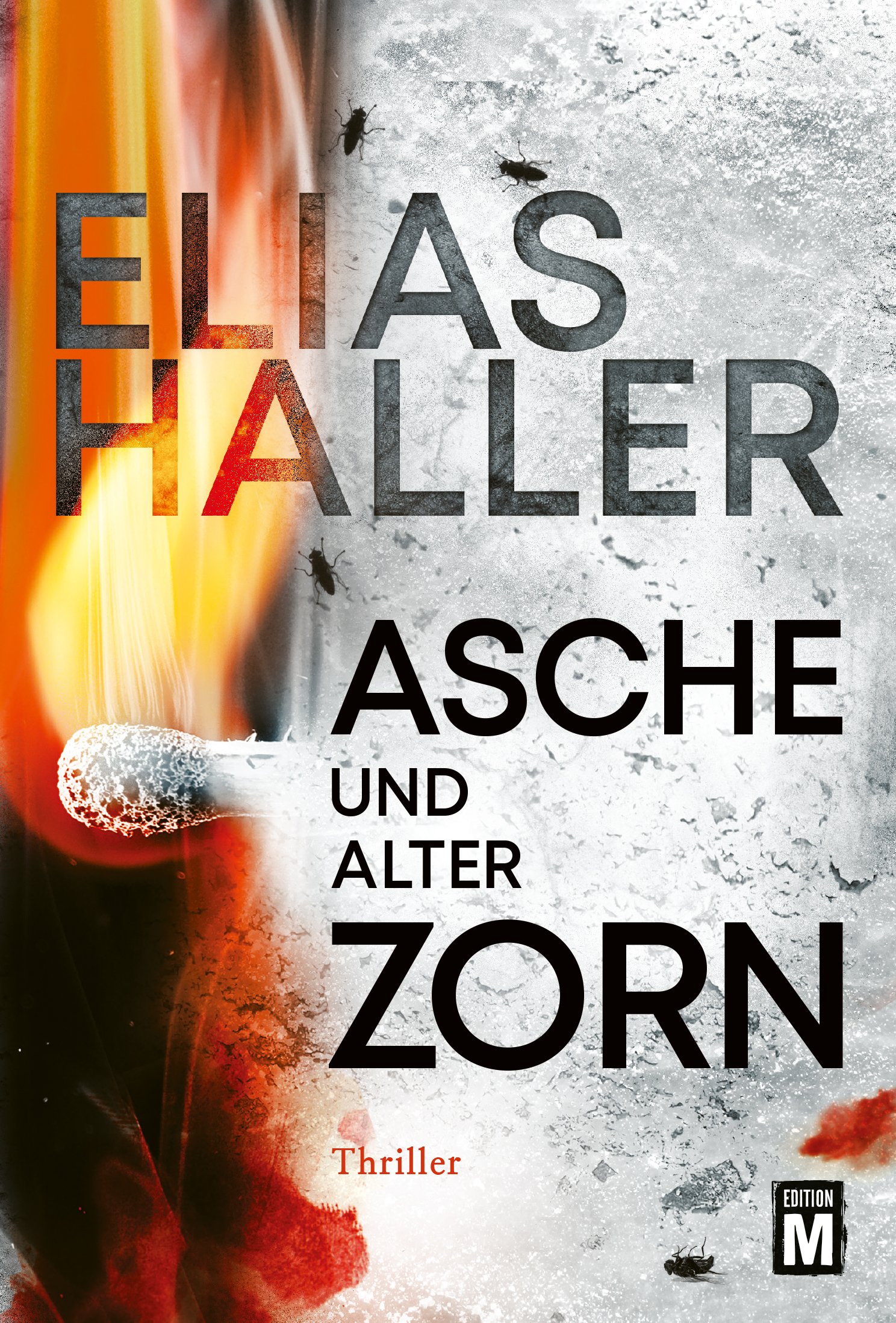 Asche und alter Zorn (Ein Erik-Donner-Thriller)