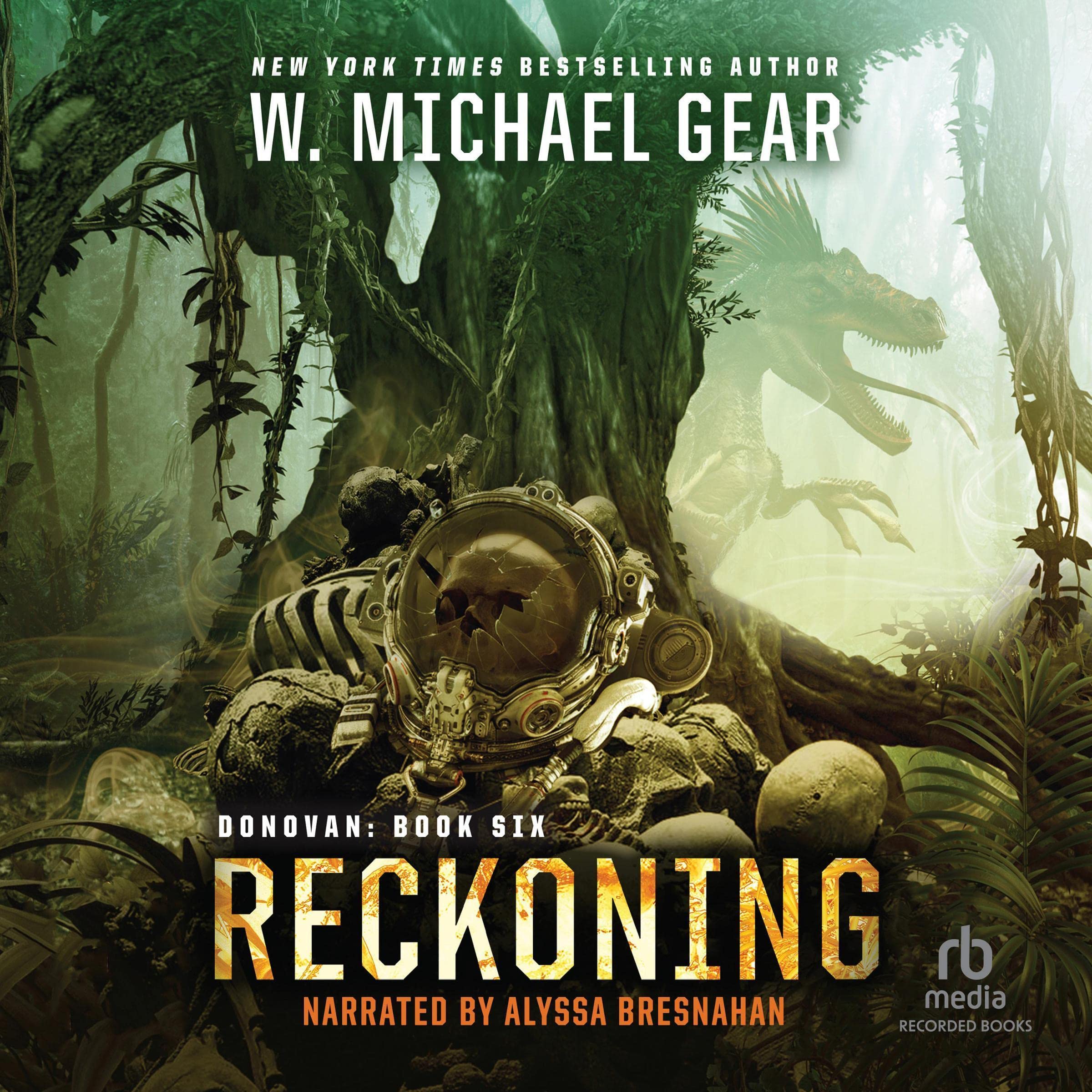 Cover art for Reckoning: Donovan, Book 6