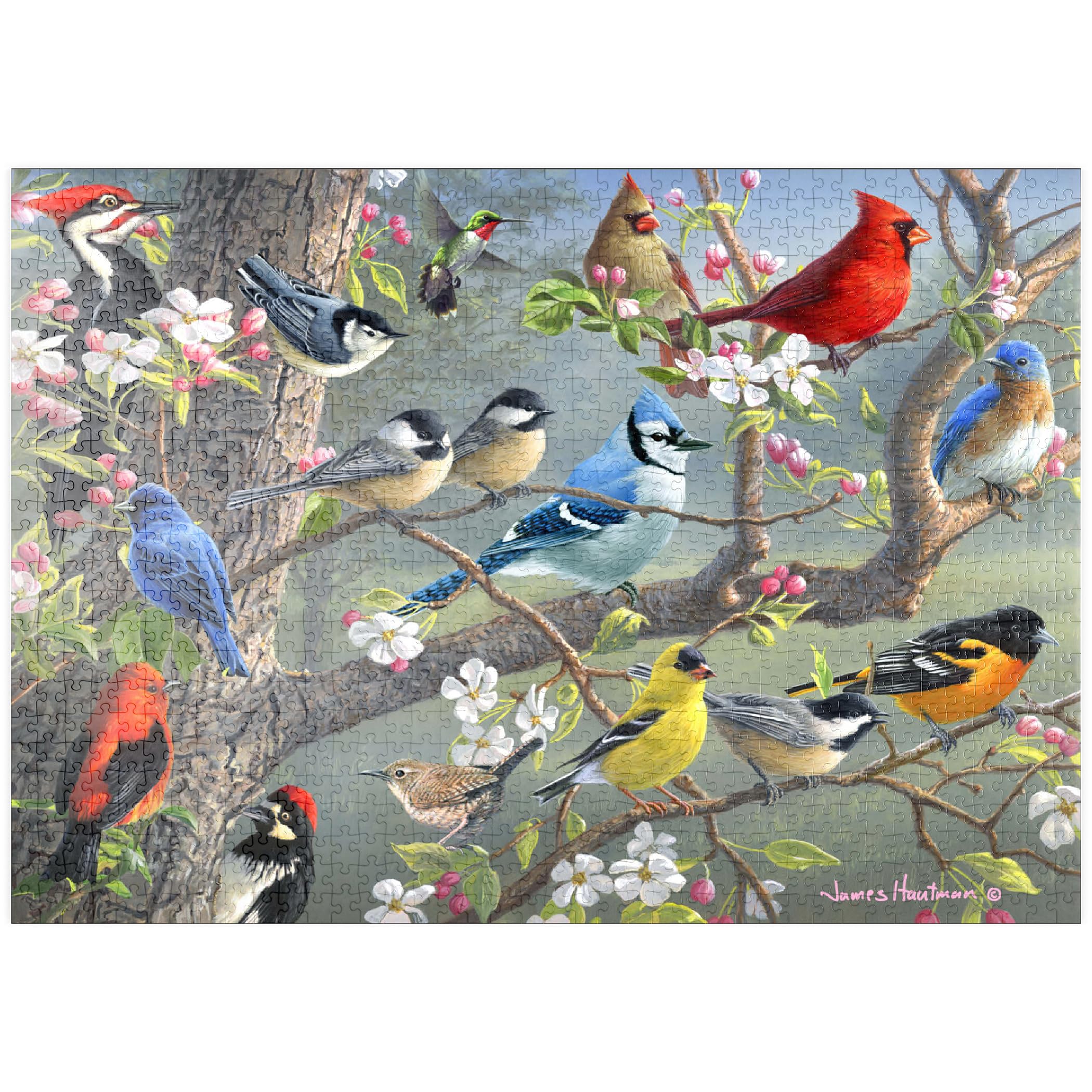 MyPuzzle Colorful Birds In The Blossom Tree - Premium 1000 Pieces Puzzle - MyPuzzle special collection from Puzzle Galaxy