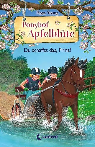Ponyhof Apfelblüte (Band 19) - Du schaffst das, Prinz!: Beliebte Pferdebuchreihe für Kinder ab 8 Jahren