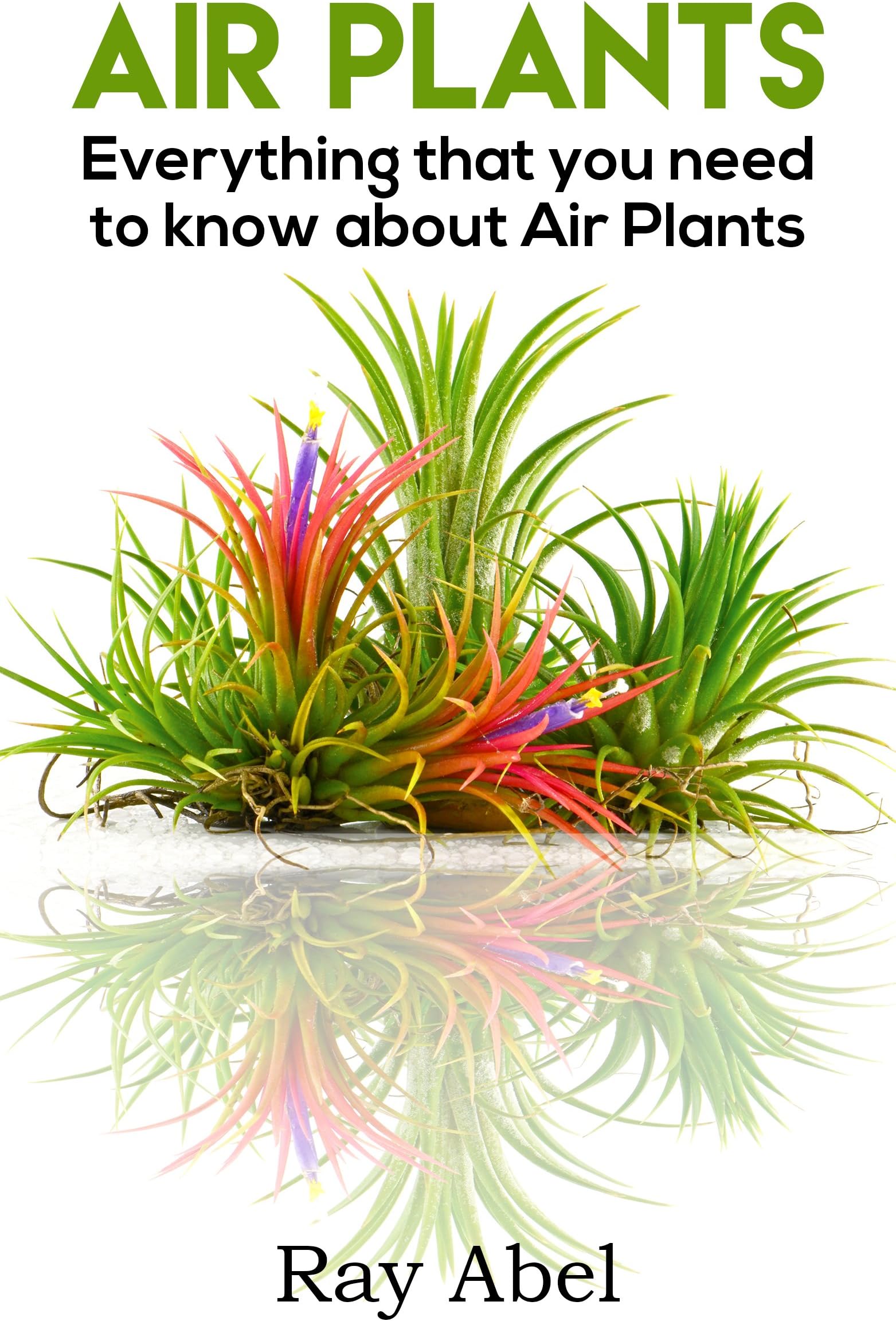Air Plants: Everything that you need to know about Air Plants in a single book (air plants, air plant care, terrarium, air plant book)