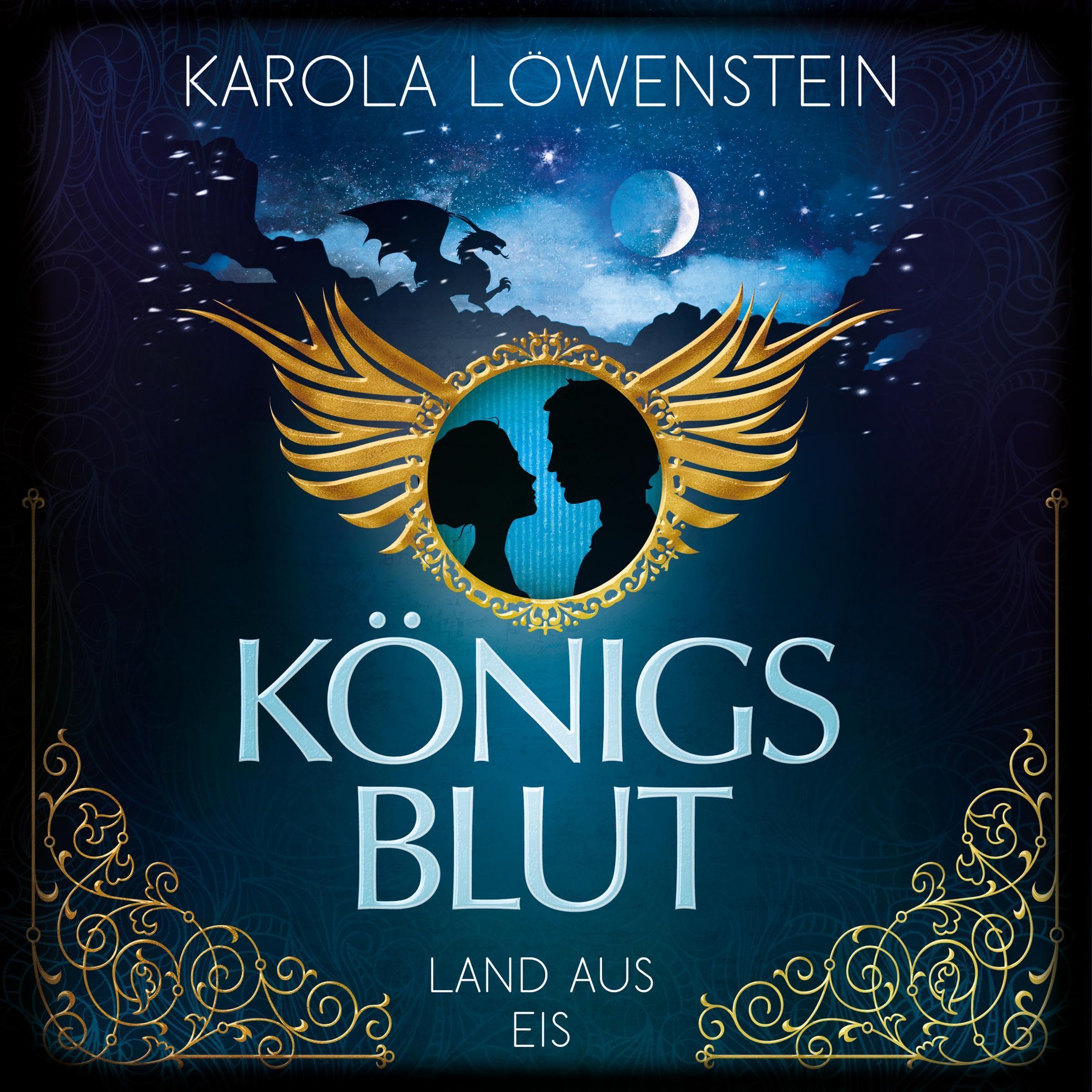 Cover art for Land aus Eis