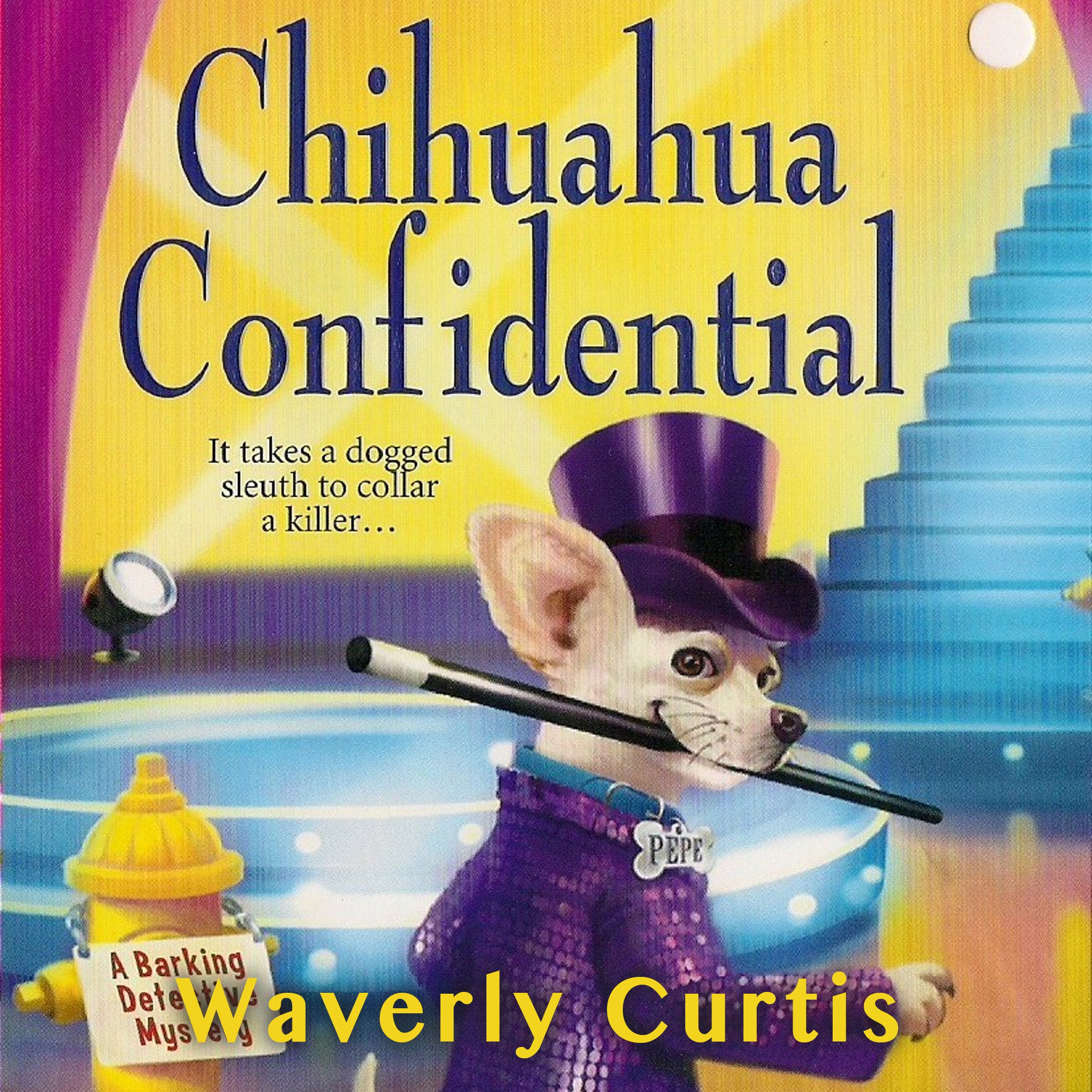Chihuahua Confidential