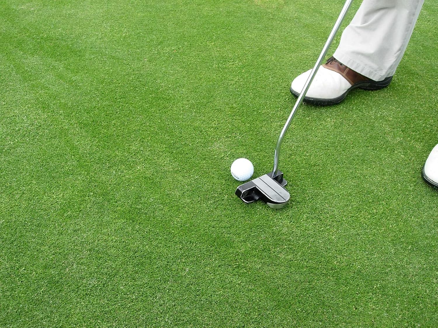 RSMRasensamen 4.1.1 Golfrasen Grün 10kg Amazon.de Garten