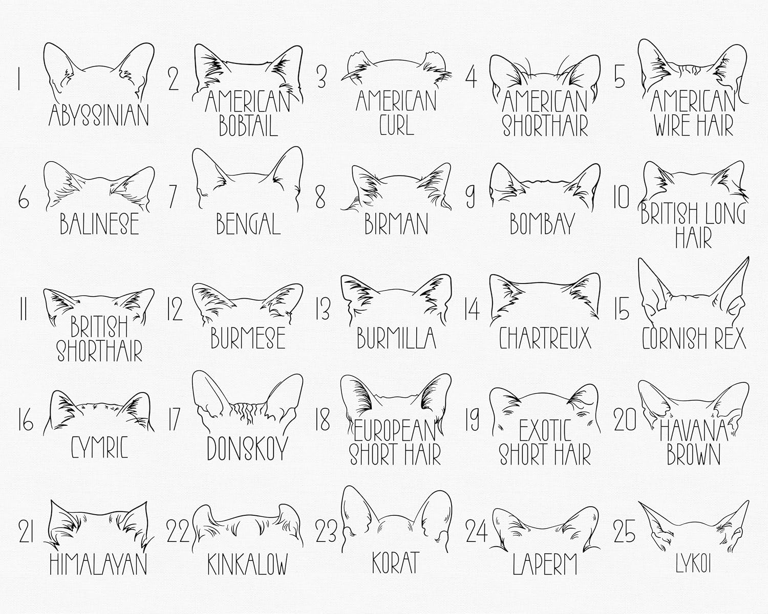 Custom Cat Shirt Personalized Cats Mom Tshirts for Women Clothing Cat Dad Shirt Girls Kitten Ears Mama Tee Cats Tee Shirts Men Kitten Name Pet Gifts Multicolor - Image 5