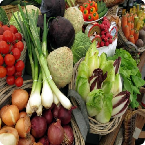 Vegetarian Christmas Guide