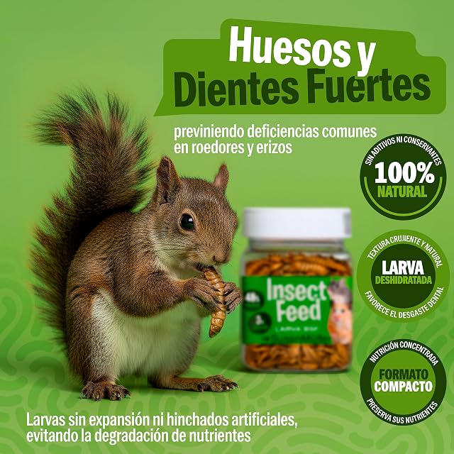 Foto 3 de 7 de Larvas de Mosca Soldado Negra para Roedores