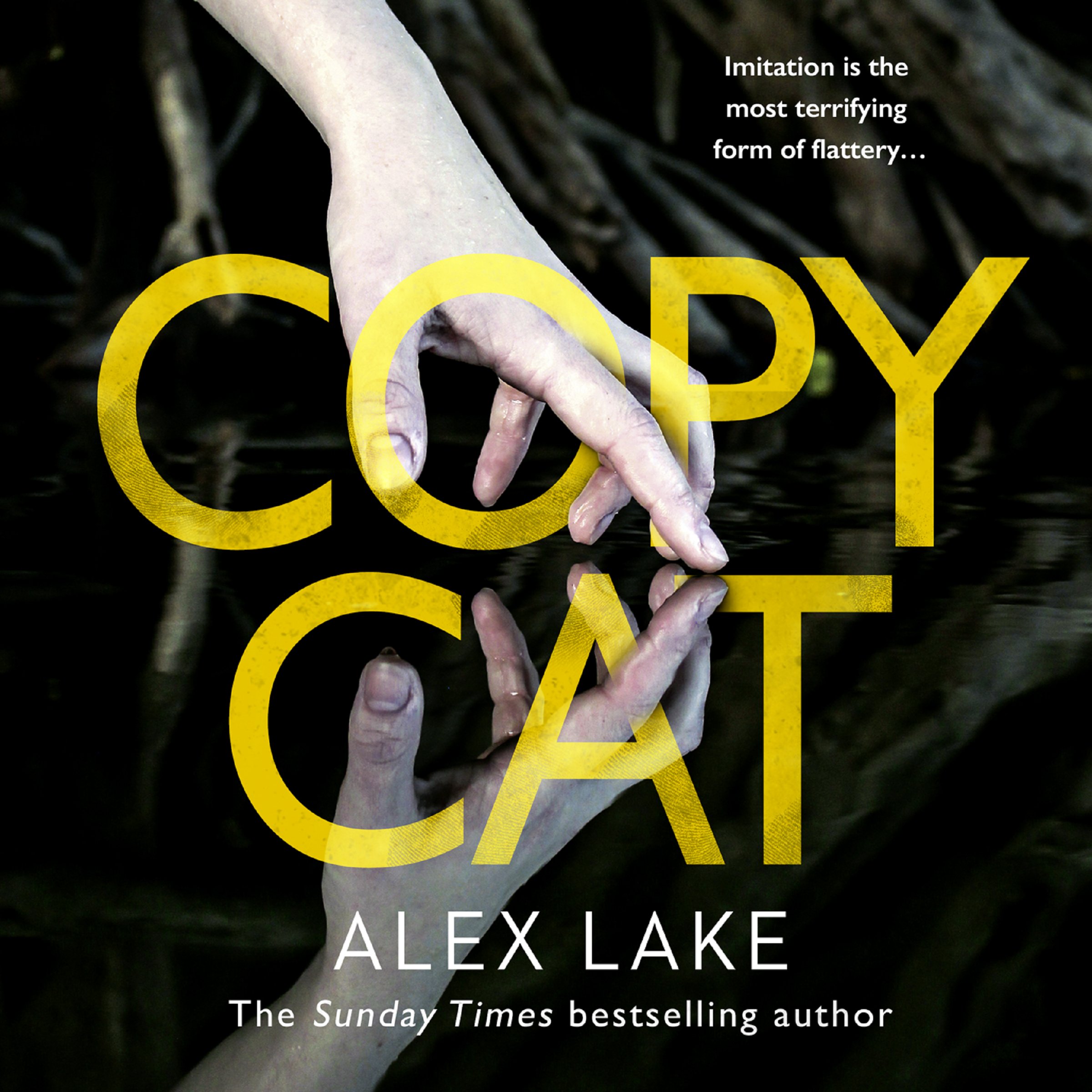 Cover art for Copycat