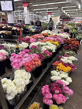 Felicity Special Birthday Flowers With Red -Pink Roses And White Gerberas For Birthday, Wedding, Anniversary, Get-Well, Mum Gifts, Indoor Decorations Delivery, Long-Lasting Cut Flowers For Occasions
