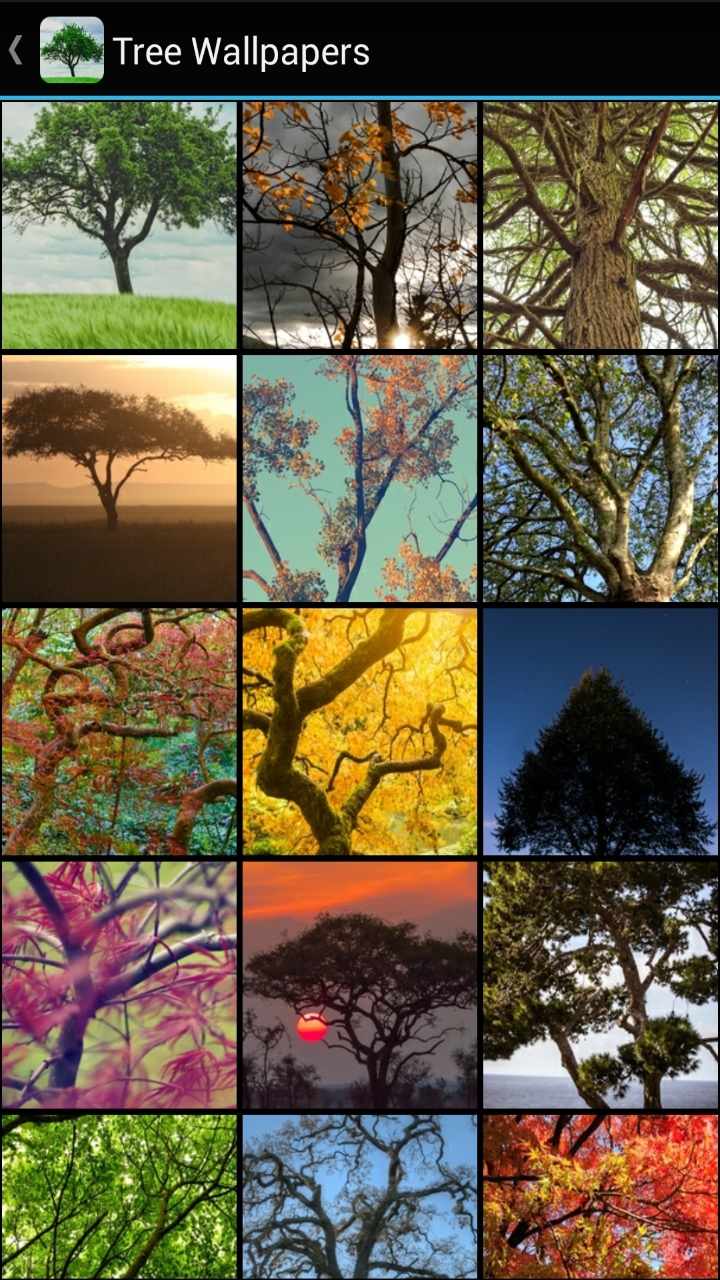 Tree Wallpapers - App on Amazon Appstore