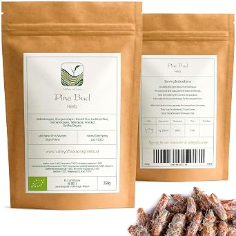 Pine Bud Tea Whole Dried Buds - Fresh Woodland Infusion | Fragrant resinous buds harvested from pine trees and dried whole for steeping into a fresh forest scented herbal infusion