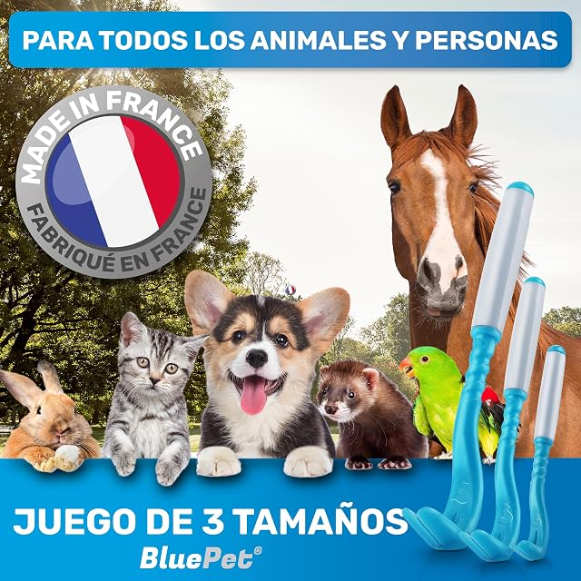 Foto 5 de 7 de BluePet Ganchos para Garrapatas, Set de 3 Tamaños, Fabricado en Francia, Pinza Quita Garrapatas para Personas
