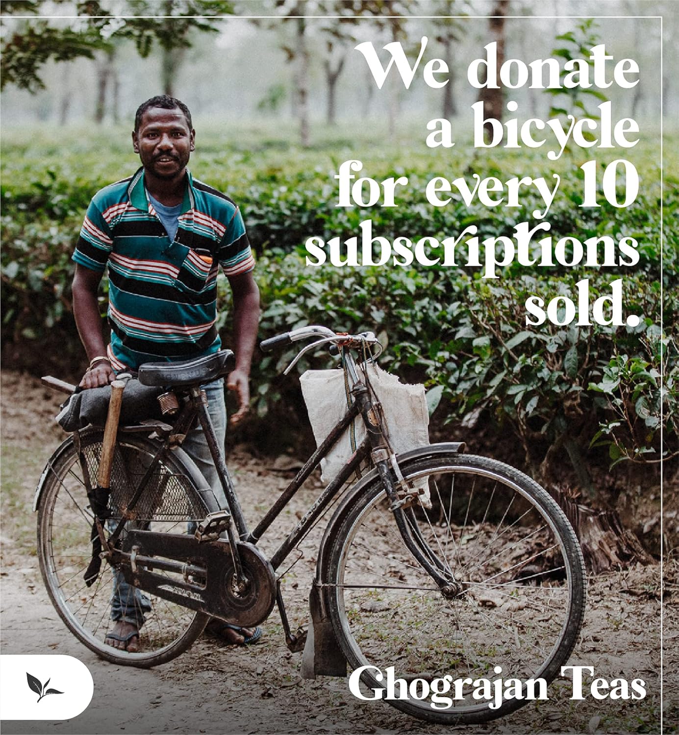 Loose Leaf Chai Tea (200+ Cups) - Fresh Harvest - Assam CTC Black Tea Blended with Cinnamon, Cloves, Ginger and Cardamom - Direct from Our Family-Owned Estate in India - 1 Pound Bulk Pouch
