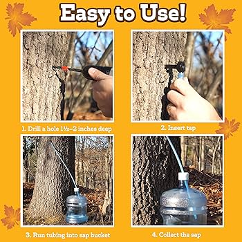 Maple Syrup Tapping Kit Stainless Steel Maple Tree Taps Spiles Easy To Use Maple Syrup Supplies Maple Tree Tapping Kit For Making Maple Syrup Shopskc9679 I.60431309