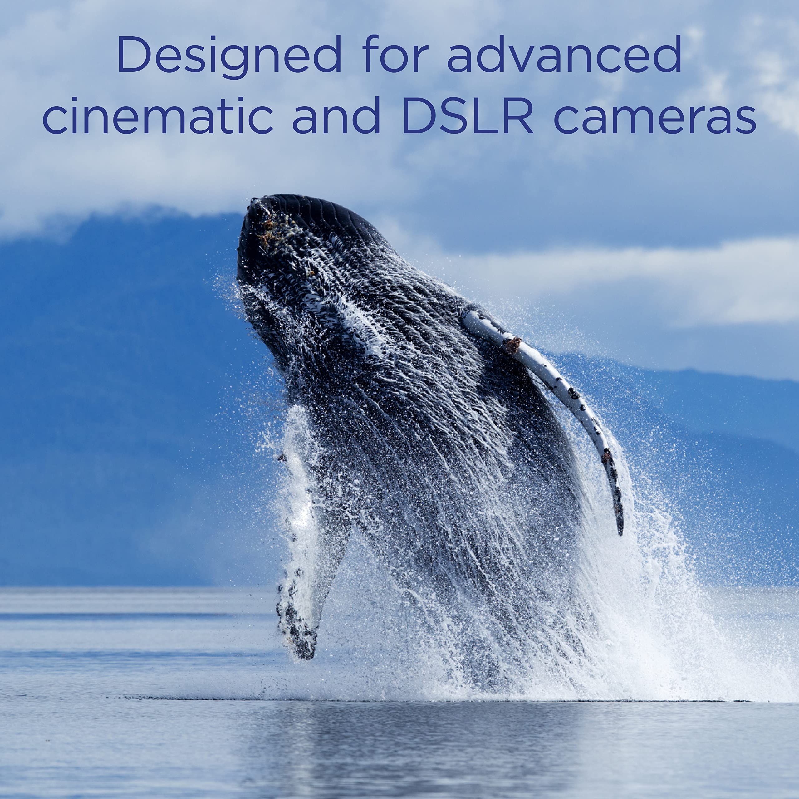 Integral 650GB CFexpress Memory Card Type B 2.0 12K and 8K RAW and 8K 120 FPS 1800MB/s Read 1500MB/s Write Speed 1500MB/s Sustained Write Speed Designed for Advanced Cinematic and DSLR Cameras
