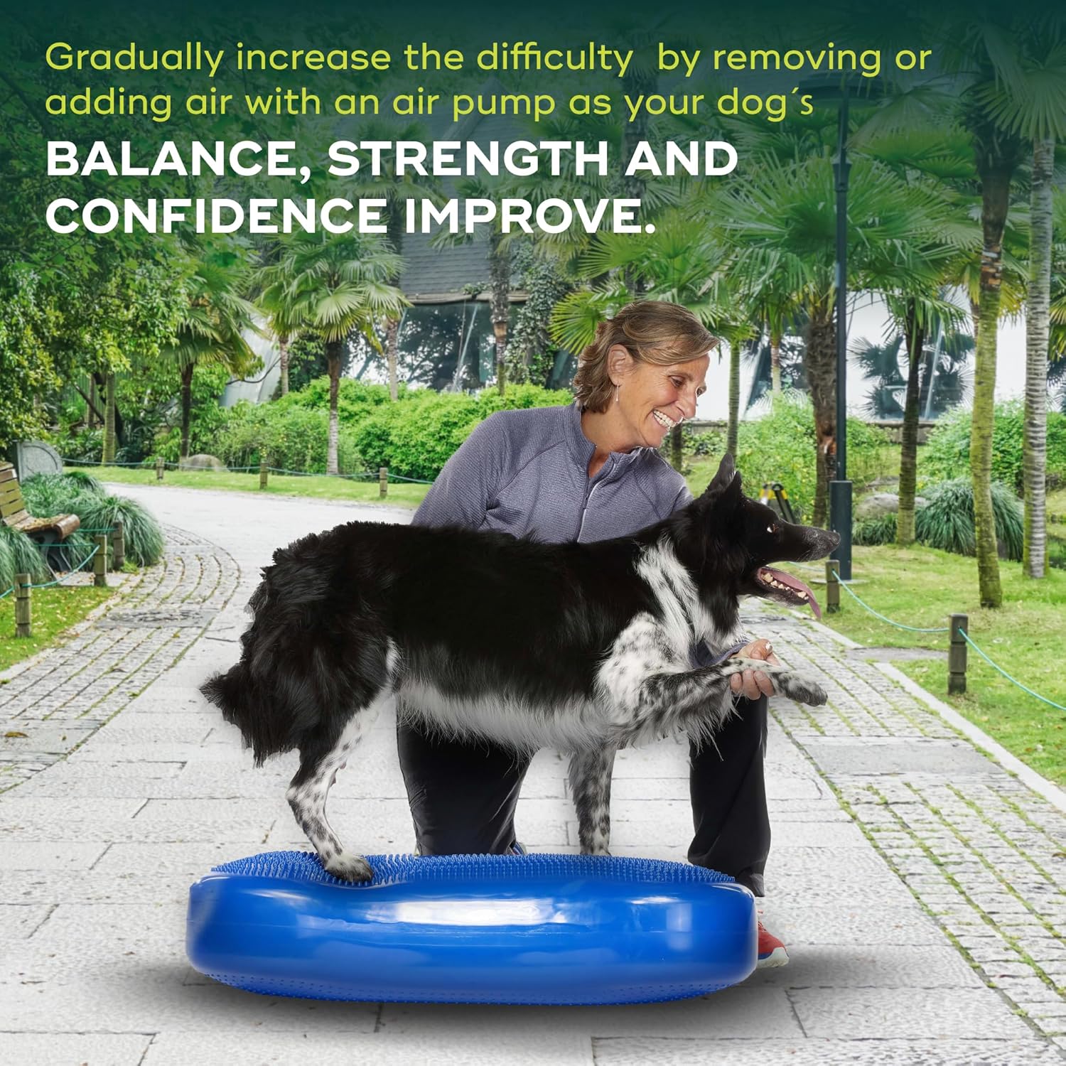 FitPAWS® K9FITbone CanineGym® Dog Balance Training Platform – Giant