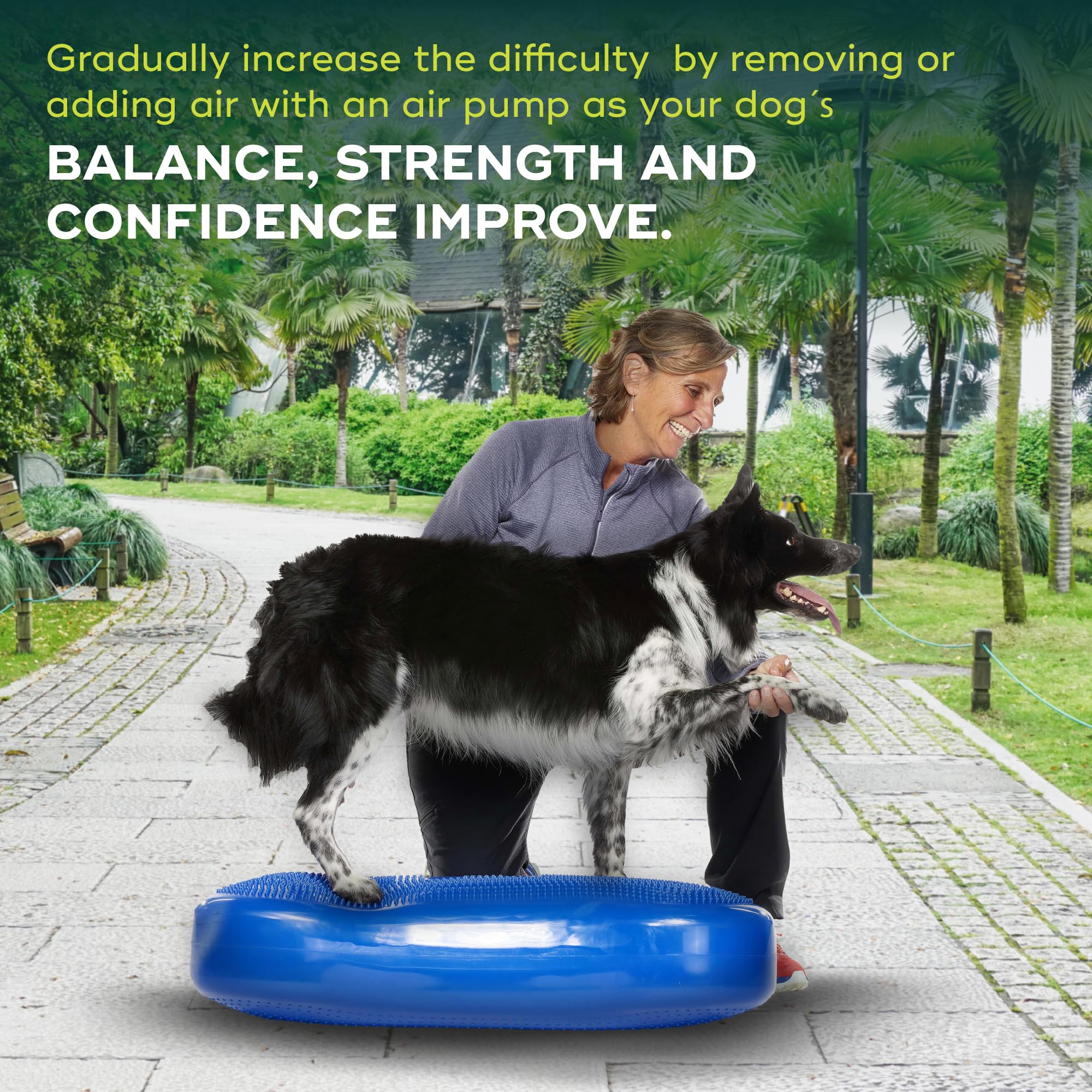 Amazon.com: FitPAWS® K9FITbone® - Giant, Blue | Dog Balance