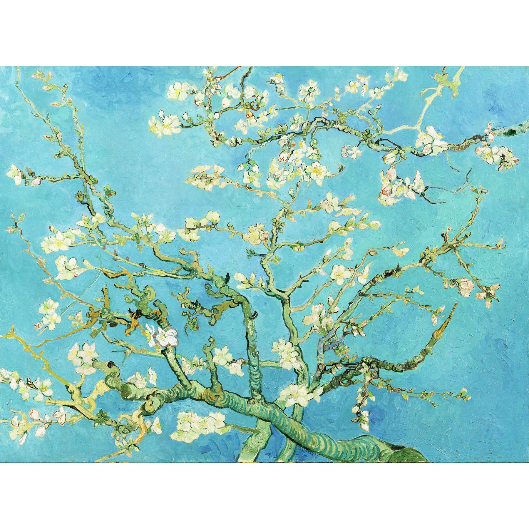 Wee Blue Coo Van Gogh Branches With Almond Blossom 1890 Large Wall Art Poster Print Thick Paper 18X24 Inch