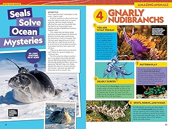 Amazon | National Geographic Kids Almanac 2025 (NGK Almanac