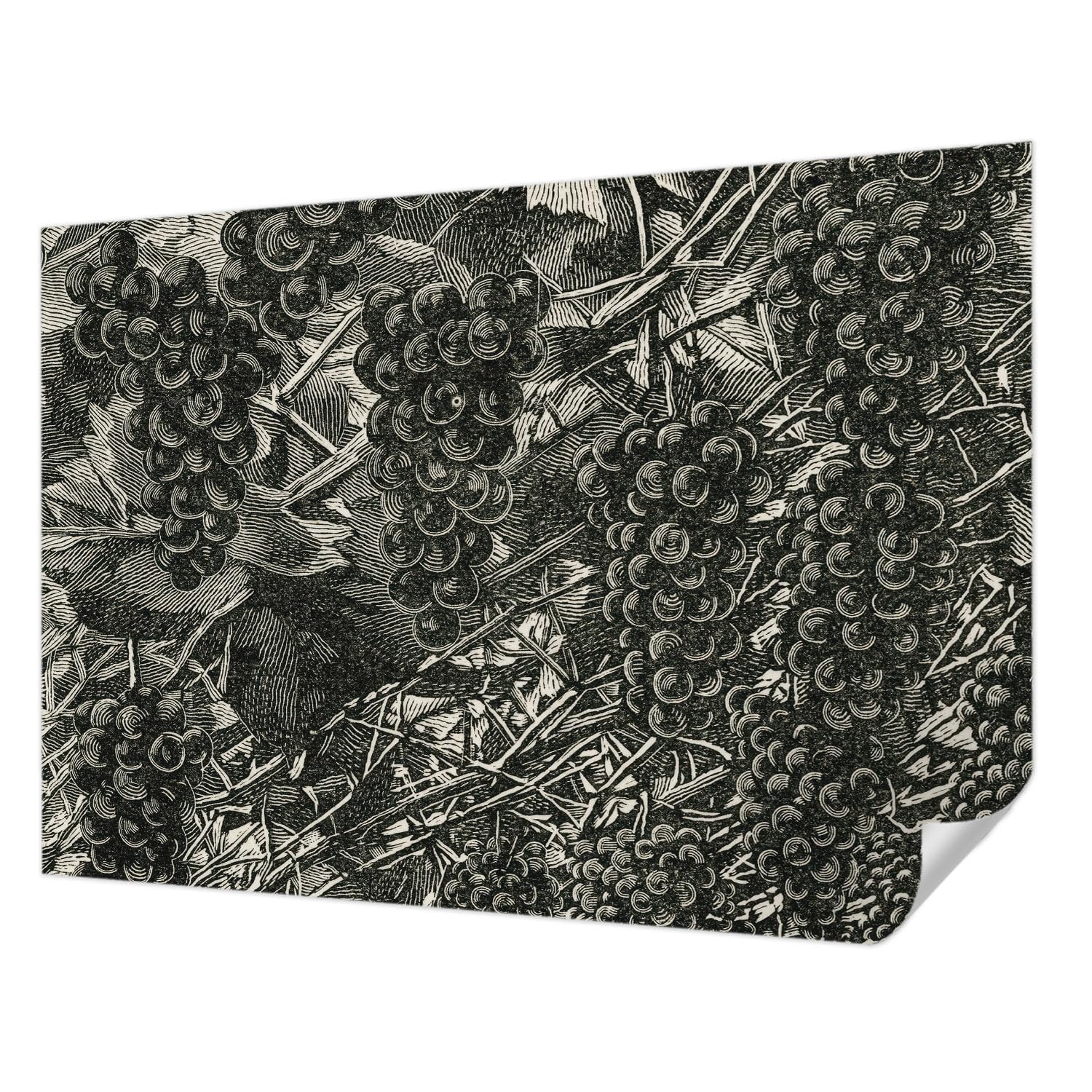 Papier peint autocollant de décoration intérieure panoramique Tulup 208x146 cm mur raisin