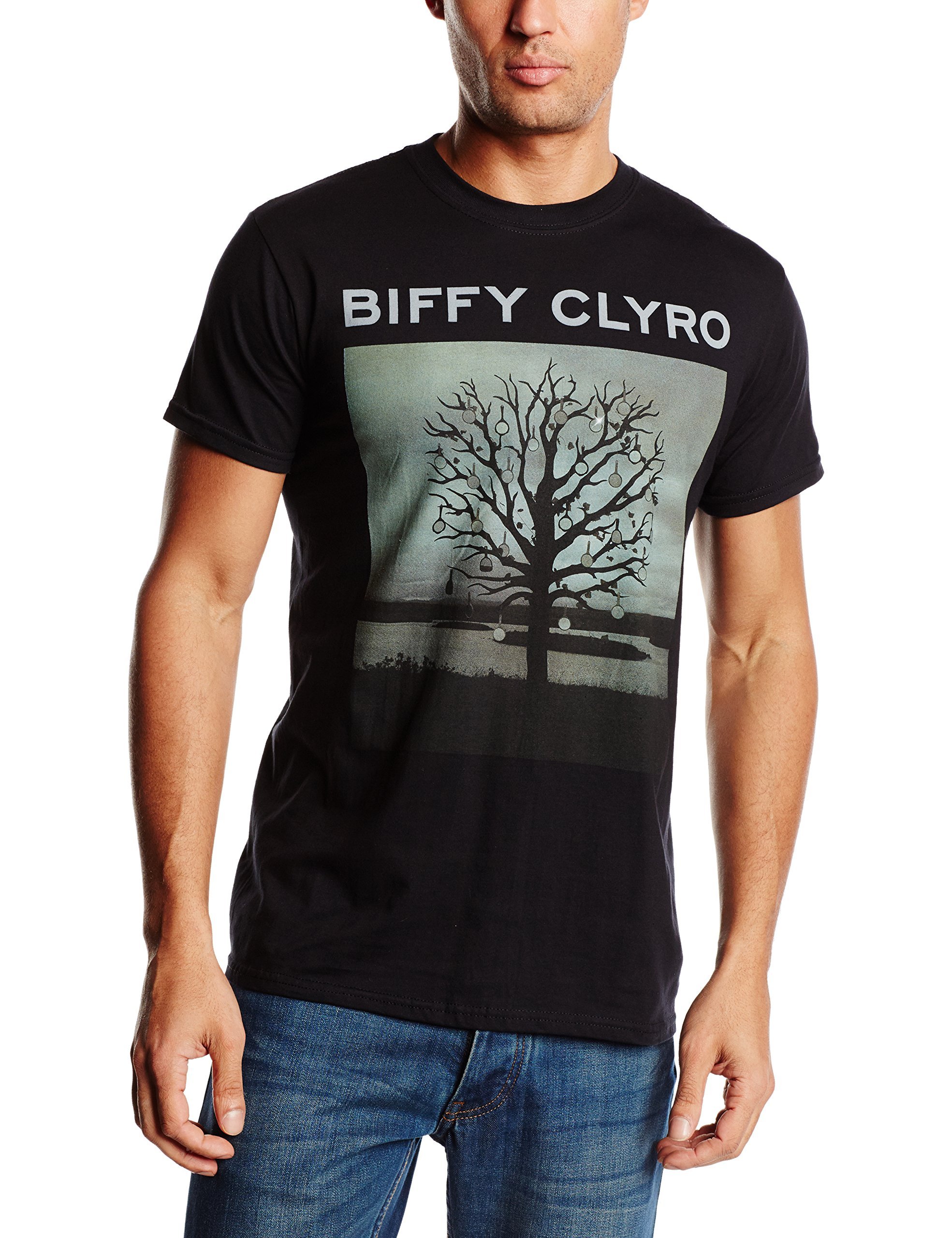Biffy Clyro Men's Chandelier Short Sleeve T-Shirt, Black, Large