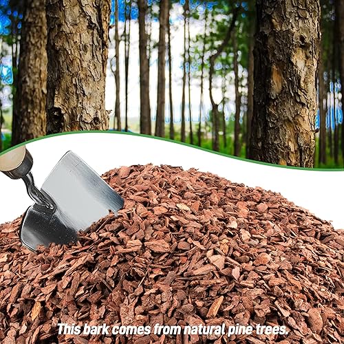 Miniatura 2 de Corteza orgánica para macetas de orquídeas de 3 cuartos - Fertilizante natural de orquídeas para plantas en maceta, desarrollo de raíces de plantas