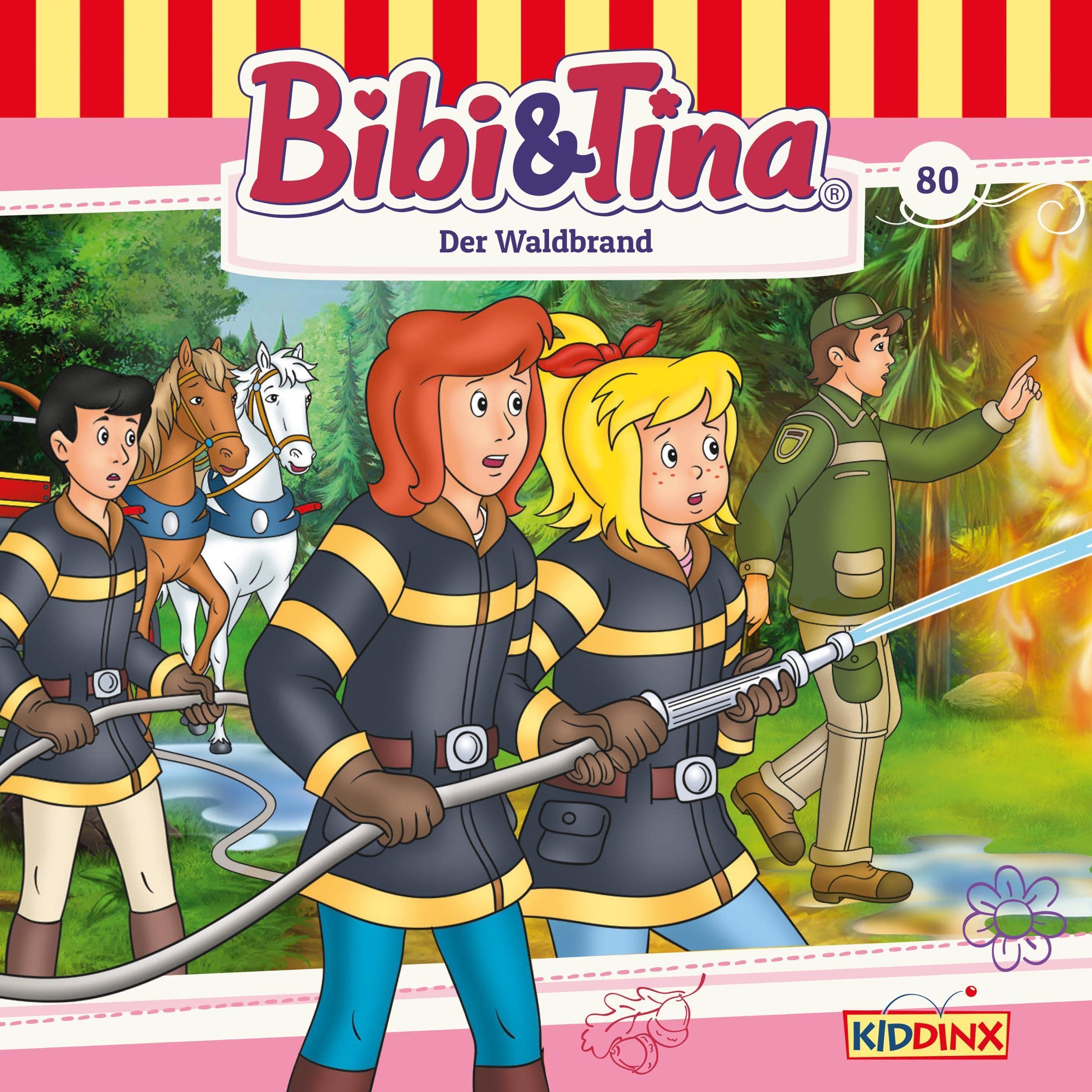 Cover art for Der Waldbrand