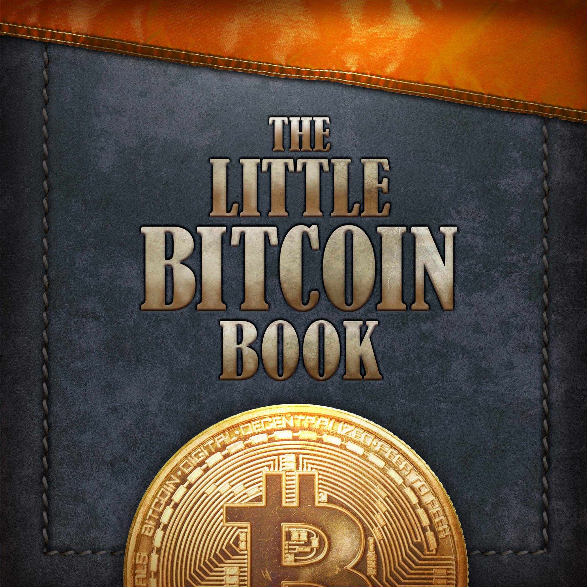 The Little Bitcoin Book