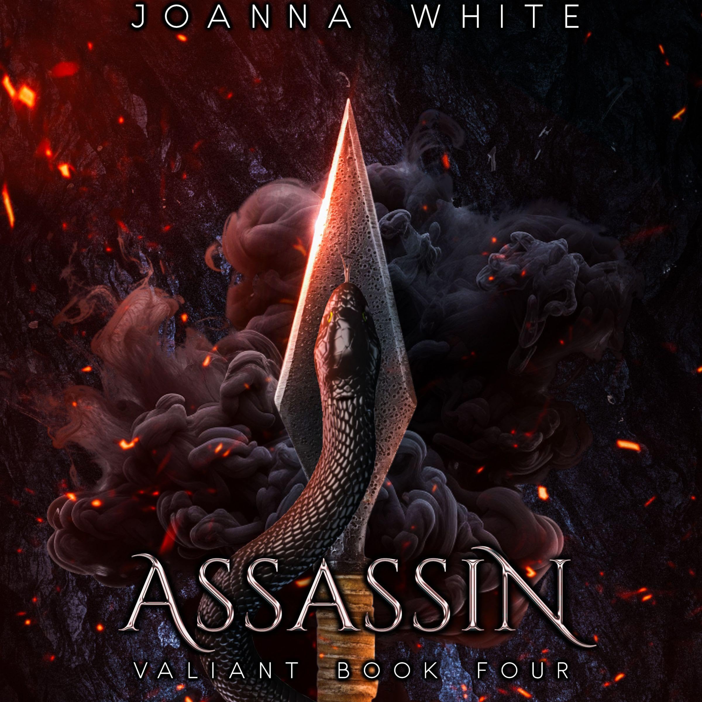 Cover art for Assassin