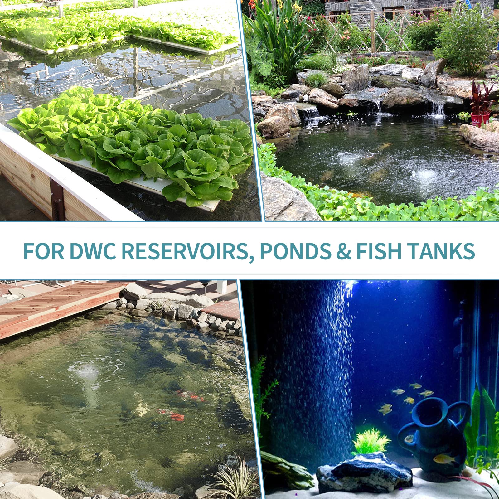 Pawfly Aquarium 8 Inch Large Air Stone Disc Bubble Diffuser Release