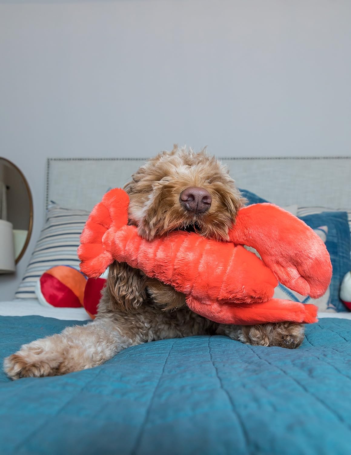 Fluff & Tuff Manny Lobster