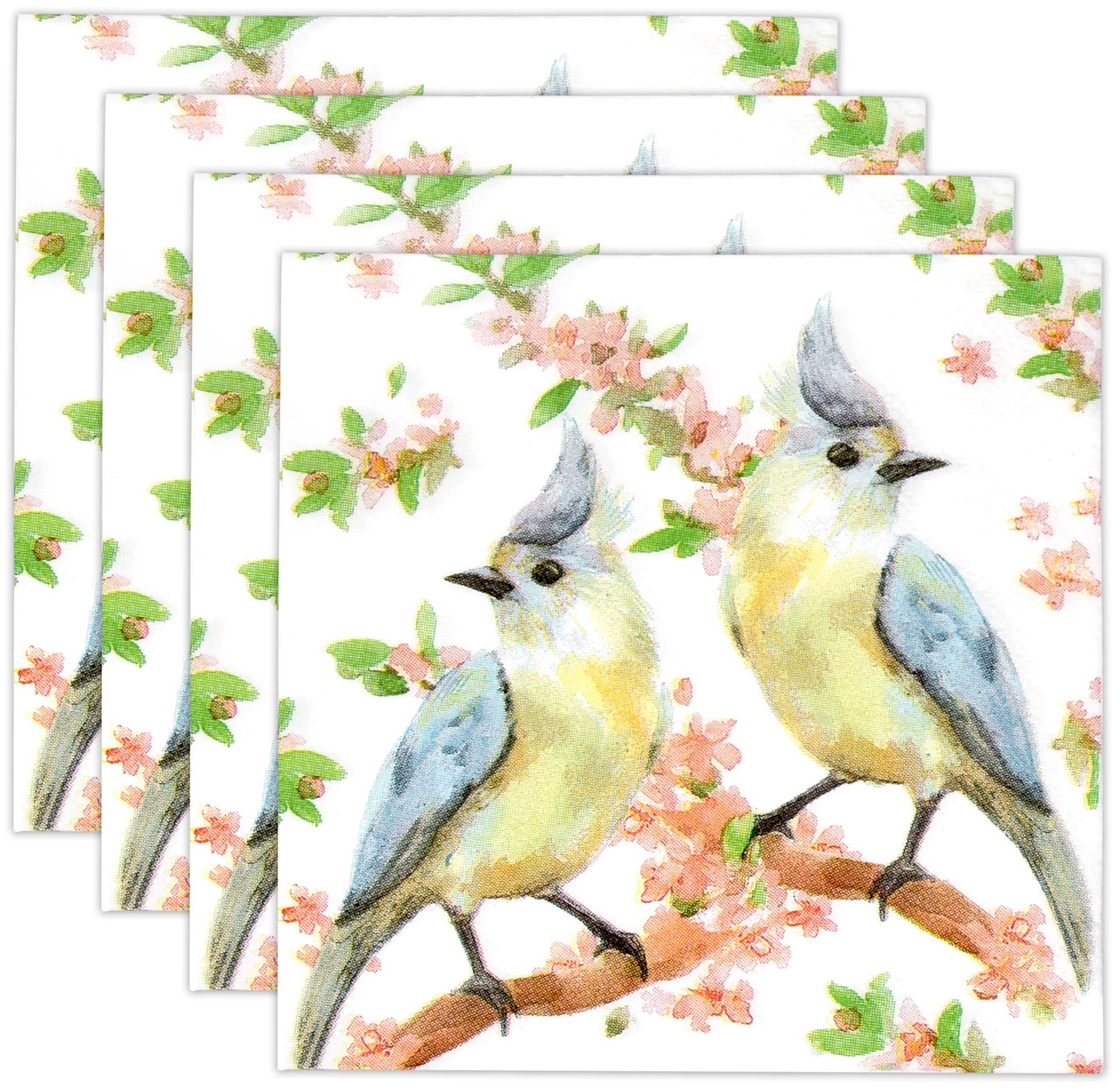 Gift Boutique 100 Bird Cocktail Beverage Napkins Disposable Paper Birds on Branches with Flowers Dessert Napkin Spring Summer Birthday Party Supplies