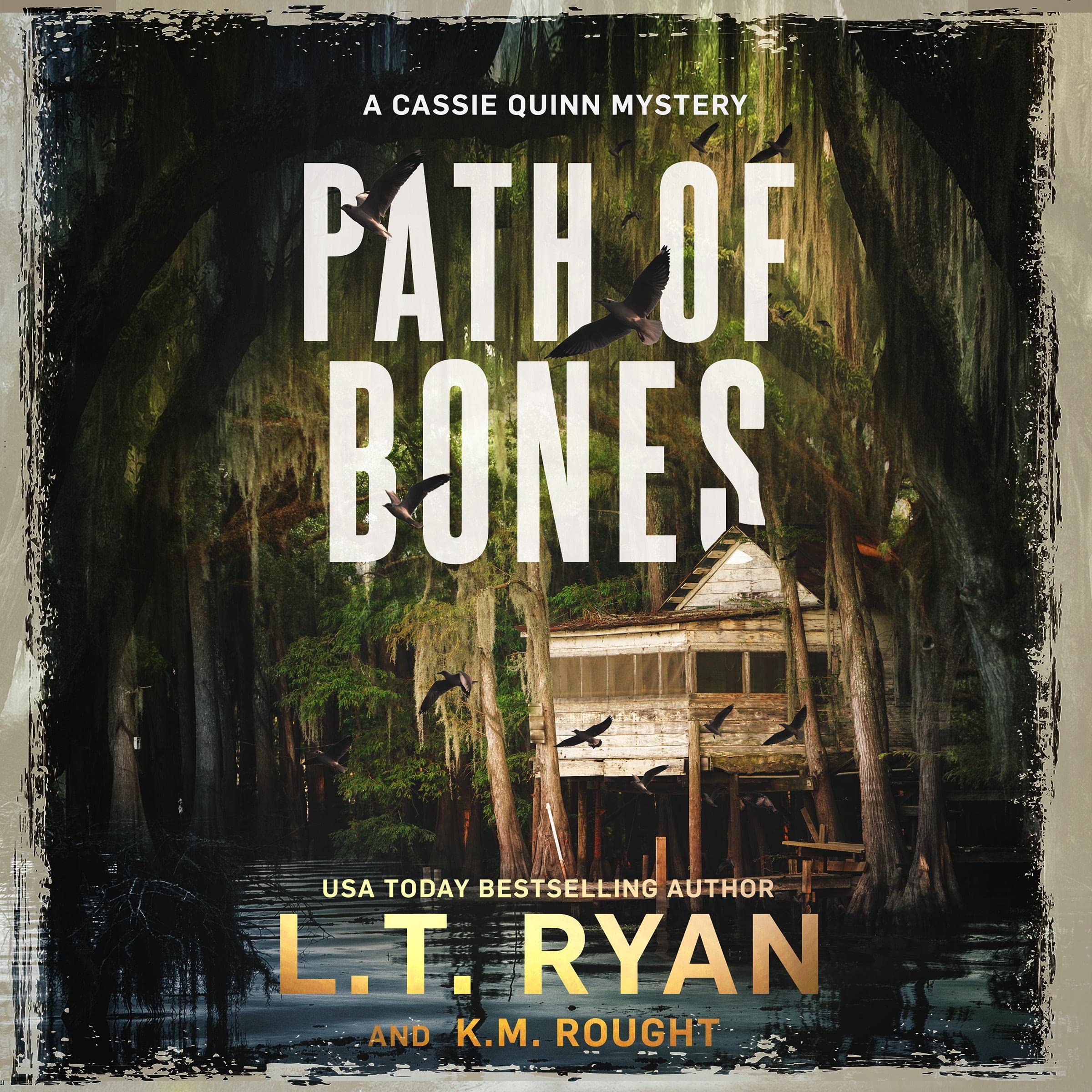 Cover art for Path of Bones