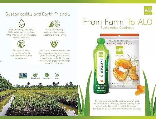 Miniatura 11 de ALO Aloe Vera Juice Drink ALLURE - Mangosteen + Mango 16.9 fl oz, Pack of 12 Plant-Based Drink with Real Aloe Pulp