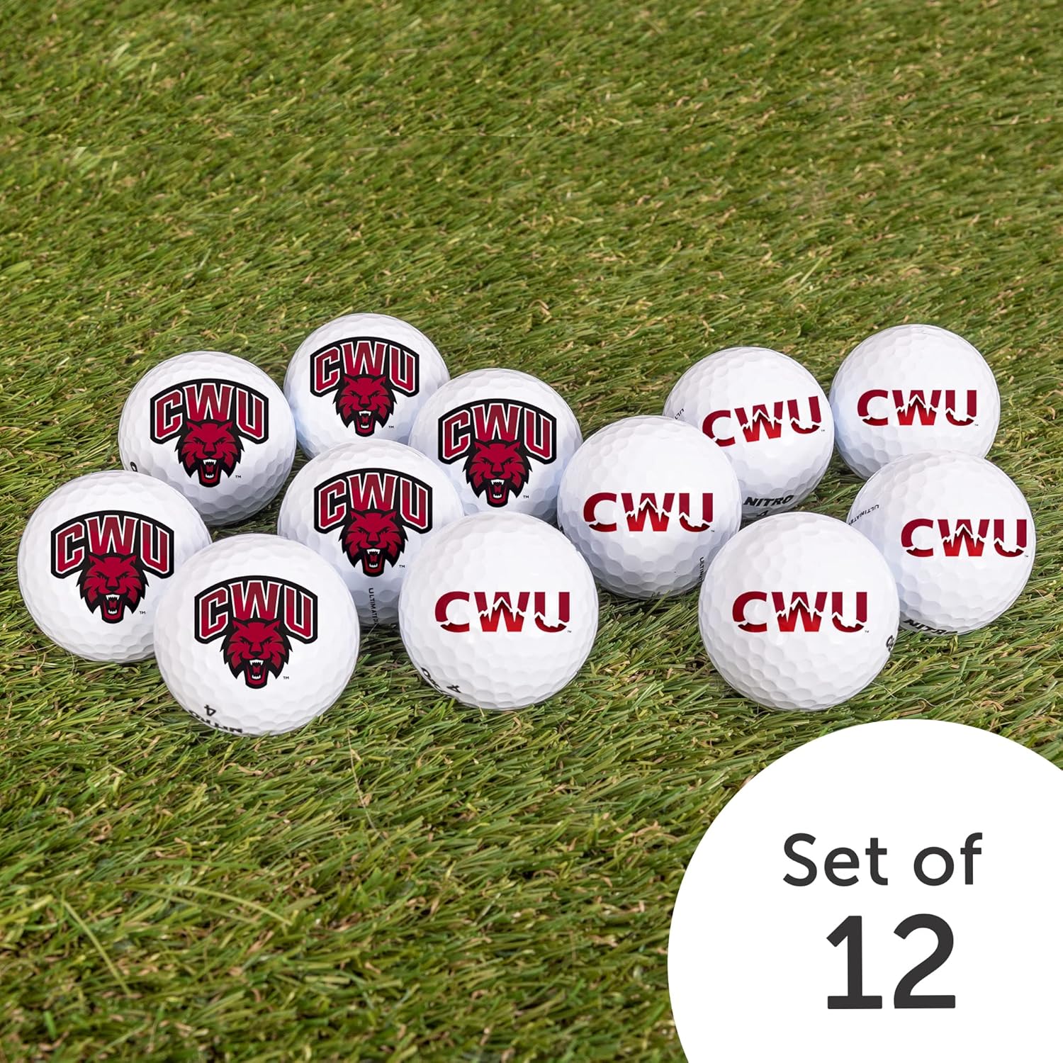 Desert Cactus Central Washington University Golf Balls 12 Pack – CWU Wildcats Full Color Dozen – Officially Licensed Sport Team Accessory