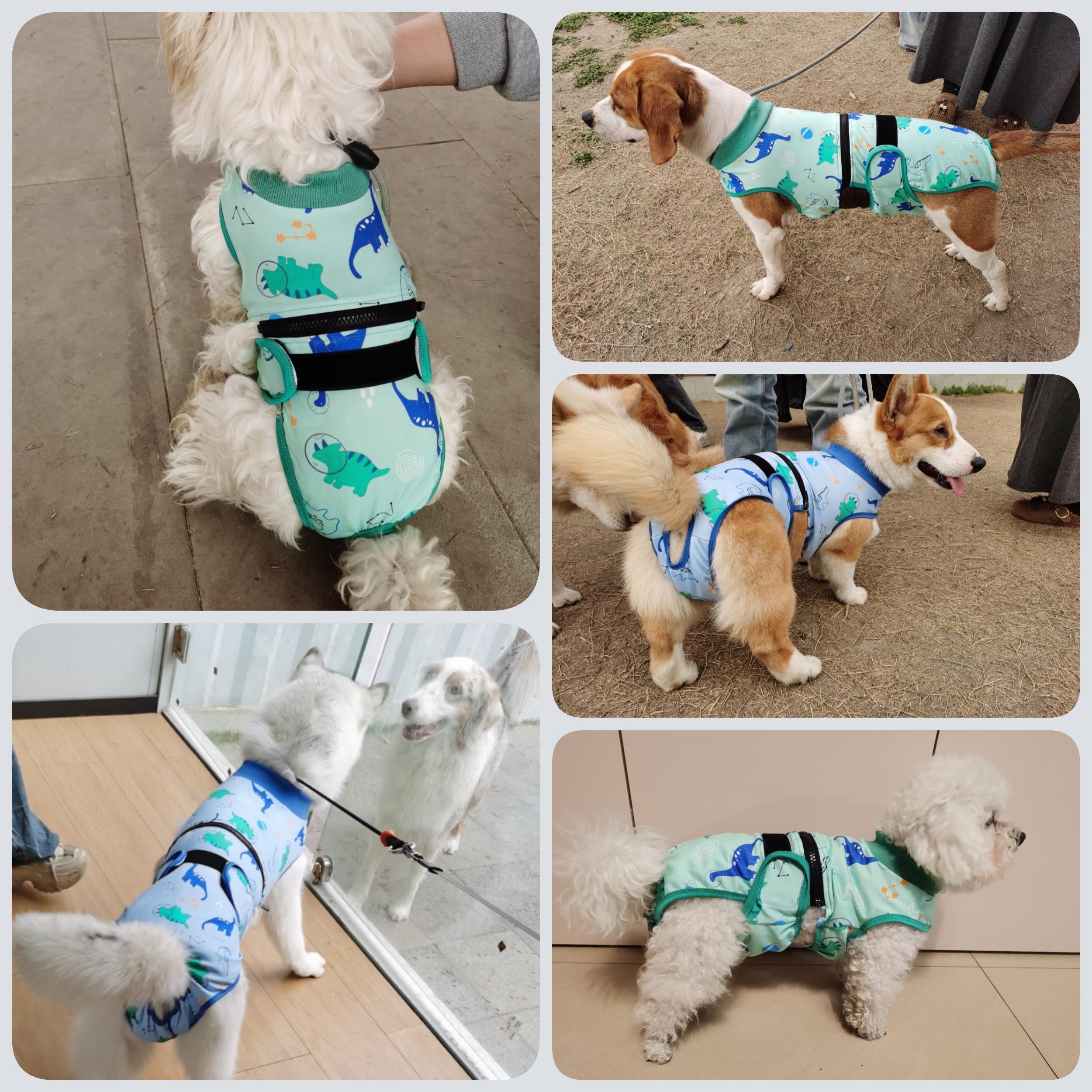 PUMYPOREITY Pannolini per cani lavabili, a prova di fuga, anti-molestie, da indossare per il calore, pannolino mestruale riutilizzabile, tuta intera per cani per recupero post-operatorio, incontinenza