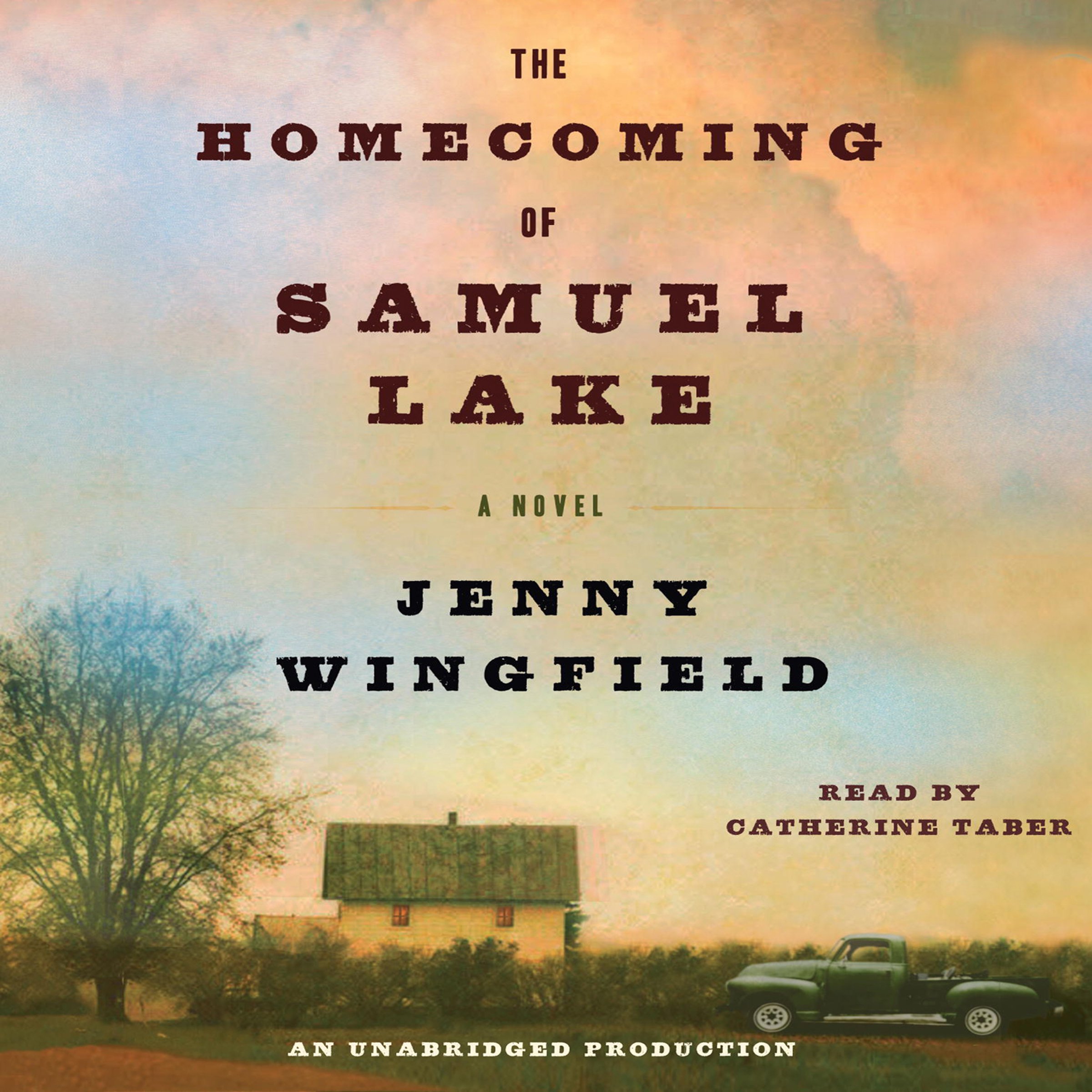 Cover art for The Homecoming of Samuel Lake