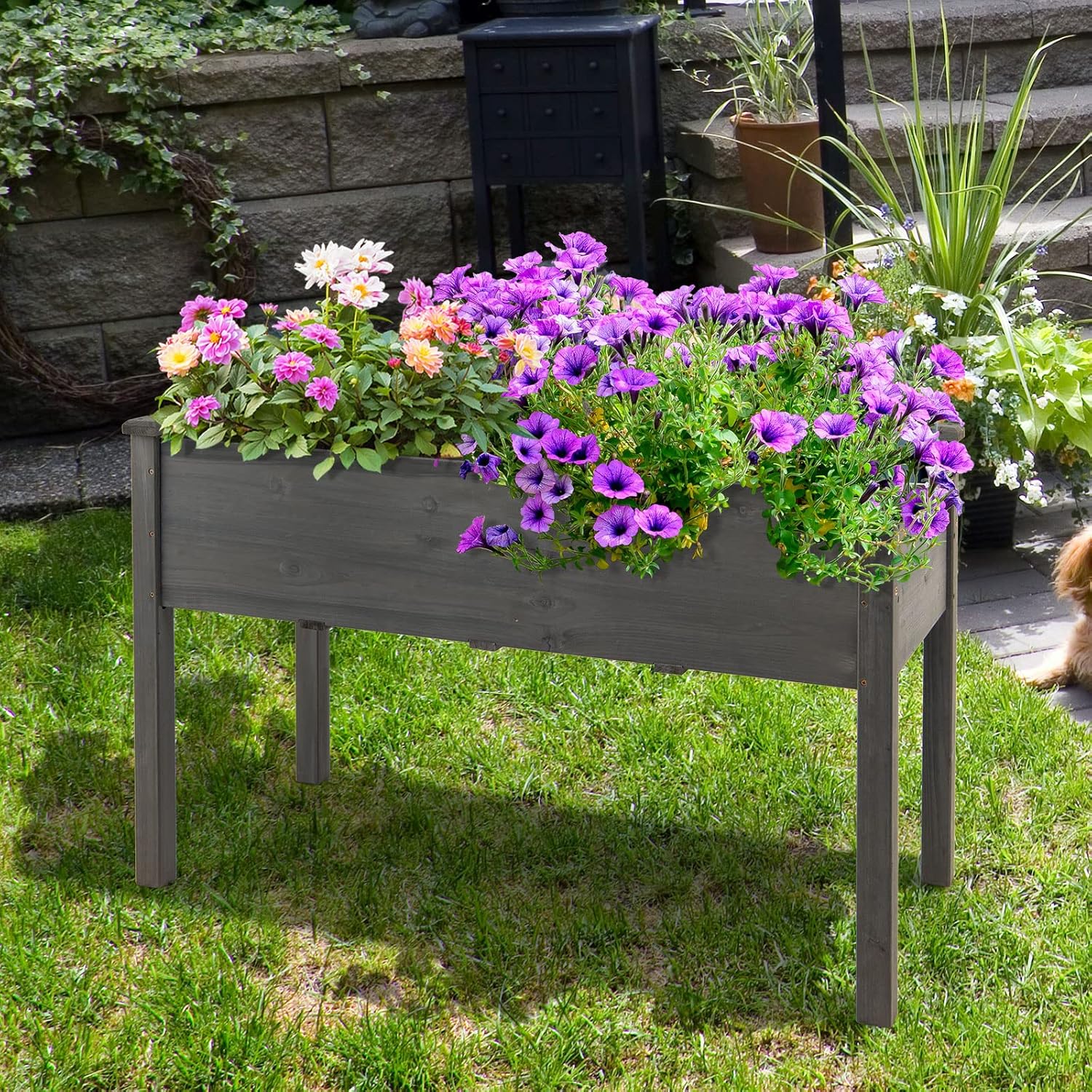 GRAFFY Raised Garden Bed, 49.5" X 23.5" X 30.0", Wooden Elevated Planter Box for Vegetable Flower Herb, Outdoor Planting Bed Container with 4 Drain Holes & Legs for Grass Lawn Patio Backyard(Grey)