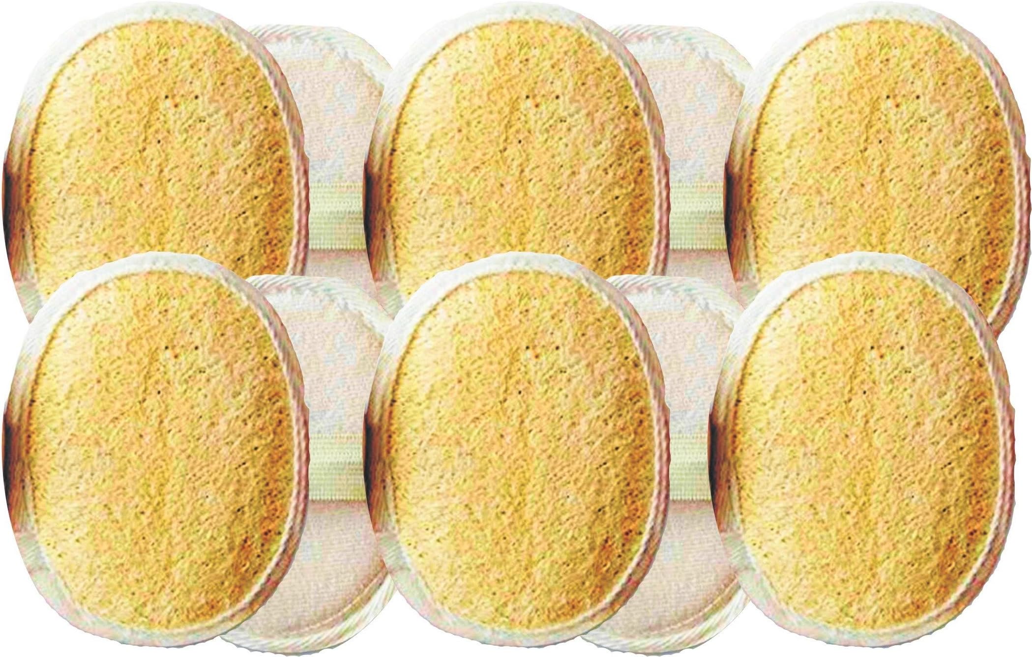 Loofah (PACK OF 10 PCS)100% Natural made from Organic Ridge Gourd Fiber