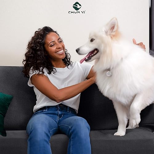 Vista 221 de CHUN YI - Funda elástica para sofá (1 unidad)