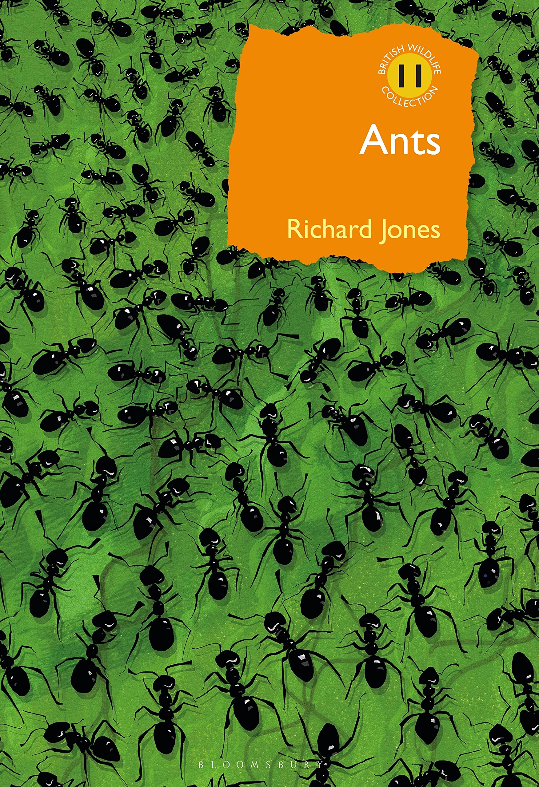 Ants: The ultimate social insects (British Wildlife Collection)