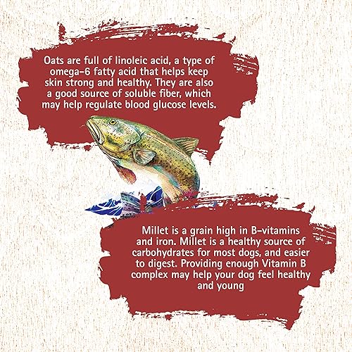 Miniatura 3 de Inception Comida seca para perros Receta de pescado  Comida completa y equilibrada para perros  Carne sin legumbres Primero alimento seco para