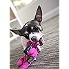 Product Photo 4