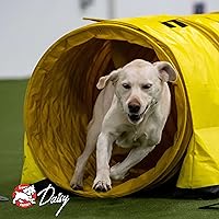 Vista 9 de Fromm Tenderollies Chick-a-Rollie - Golosinas para perros, suaves y saladas, receta de pollo, 8 onzas